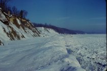 View north along the beach - winter
